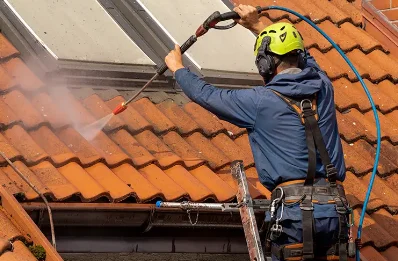 Démoussage et hydrofuge de toiture à Bachos